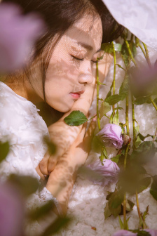 隋唐英雄传动漫